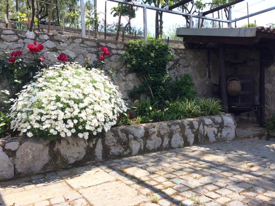 La Torretta Bianca Bed and Breakfast Cava deʼ Tirreni Buitenkant foto